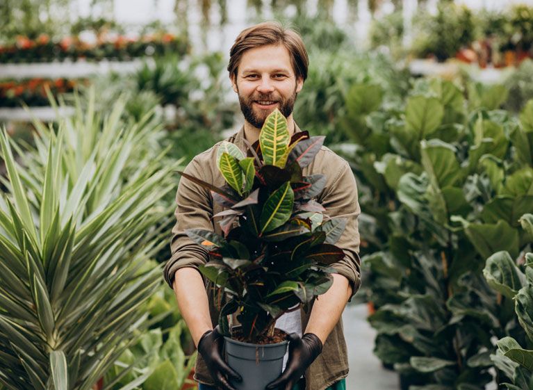 Seasonal Plantings