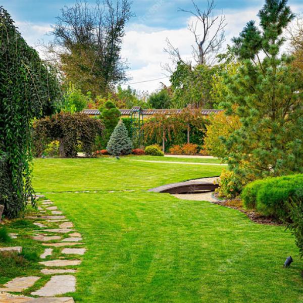 Landscape Maintain